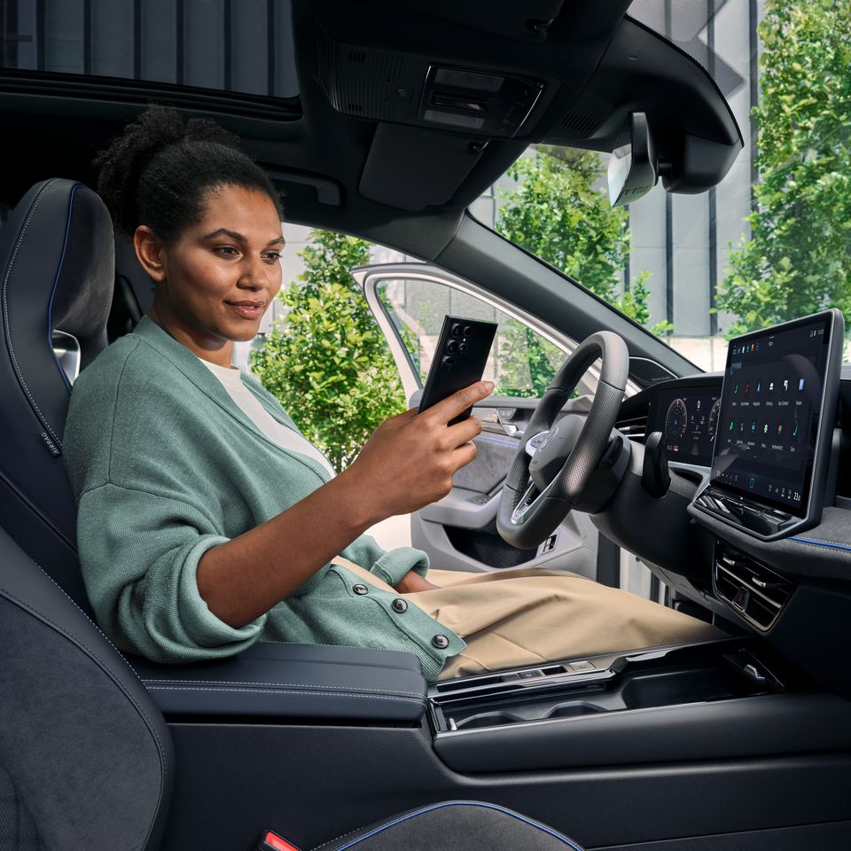 Car Net Product Page