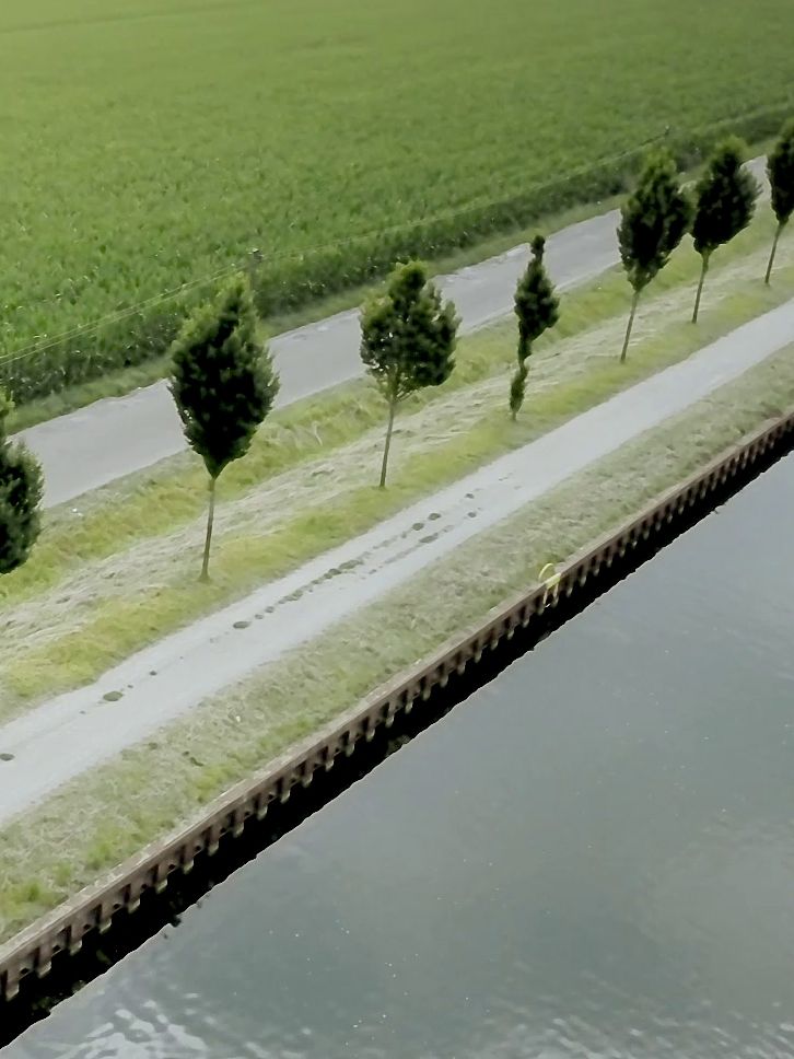 Der e-Golf auf einer Straße an einem Kanal