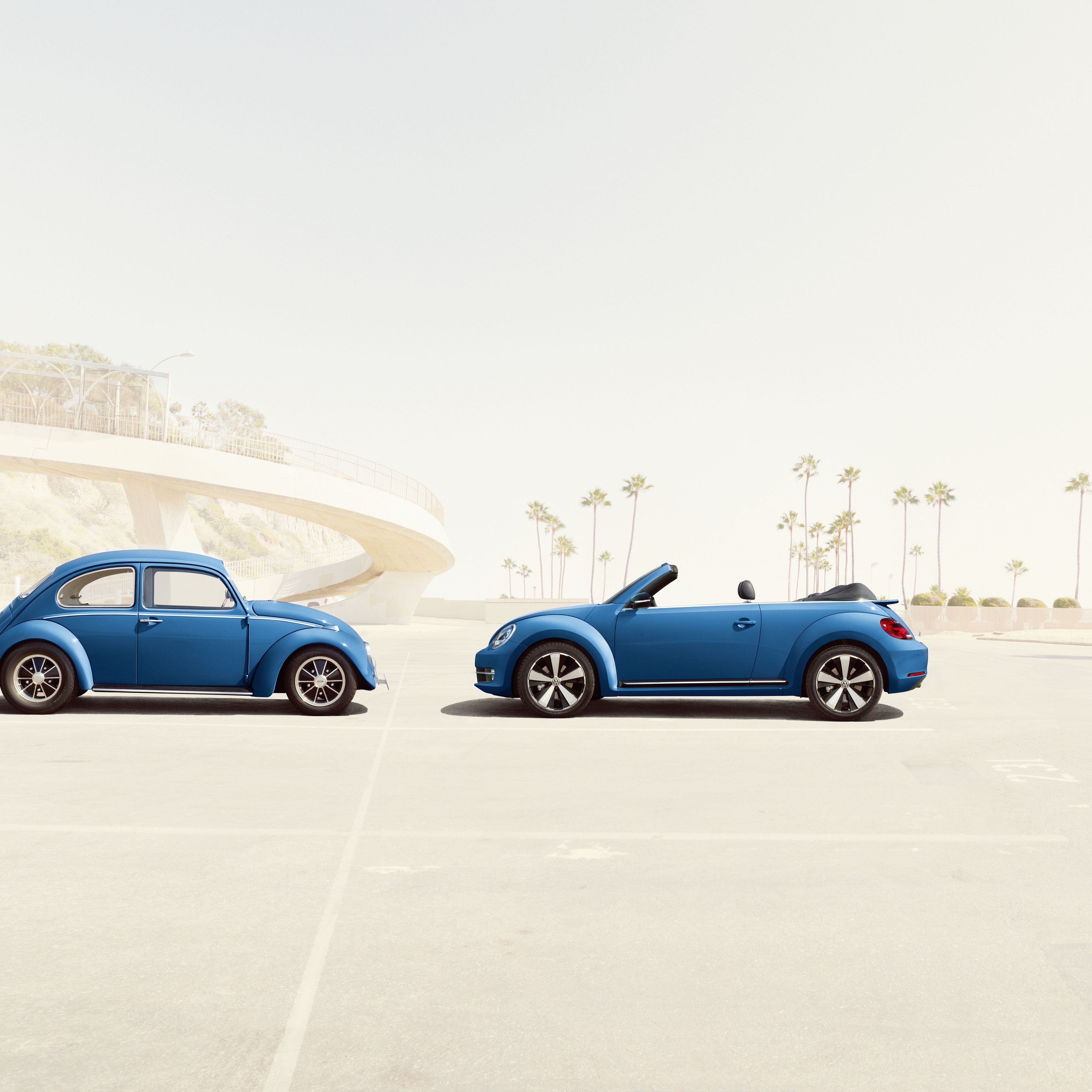 vw käfer beetle cabrio blau palmen